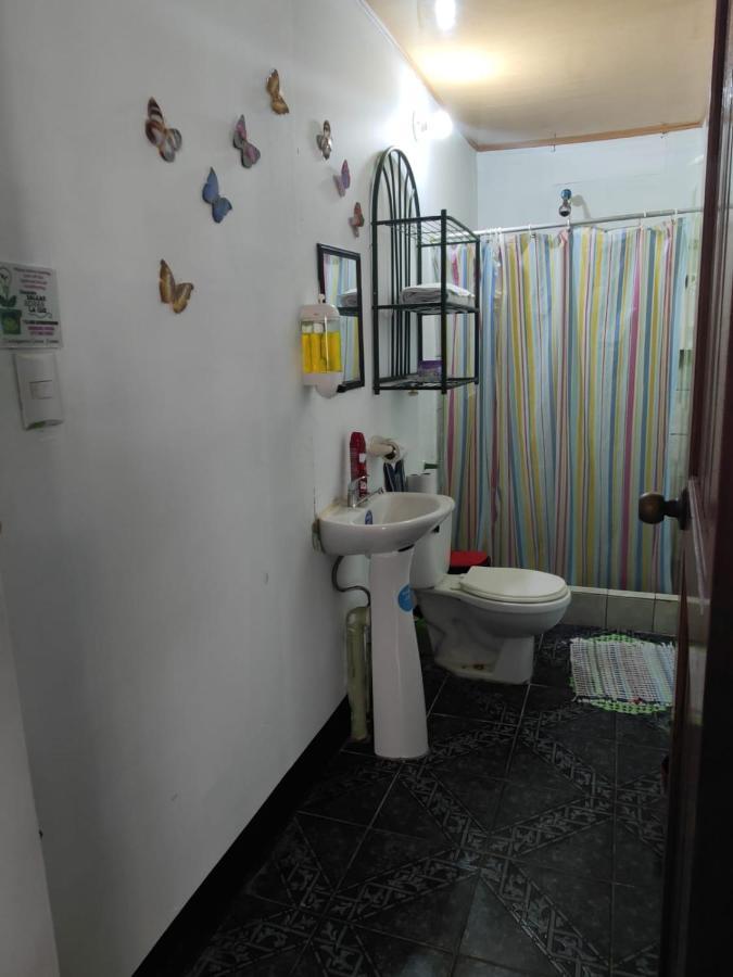 Apartament Tortuguero Casa De Playa Green House Zewnętrze zdjęcie