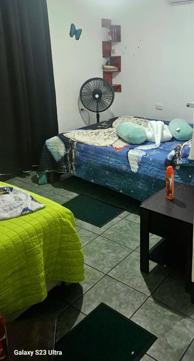 Apartament Tortuguero Casa De Playa Green House Zewnętrze zdjęcie