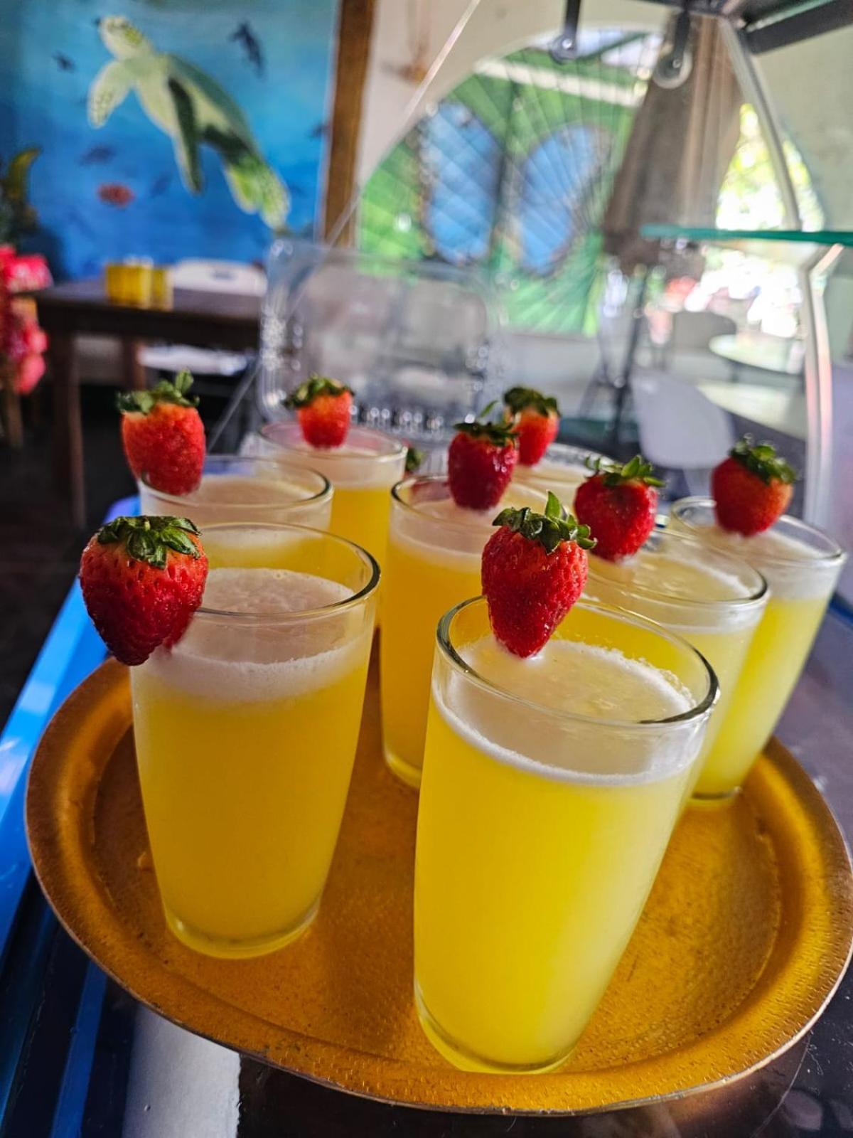 Apartament Tortuguero Casa De Playa Green House Zewnętrze zdjęcie