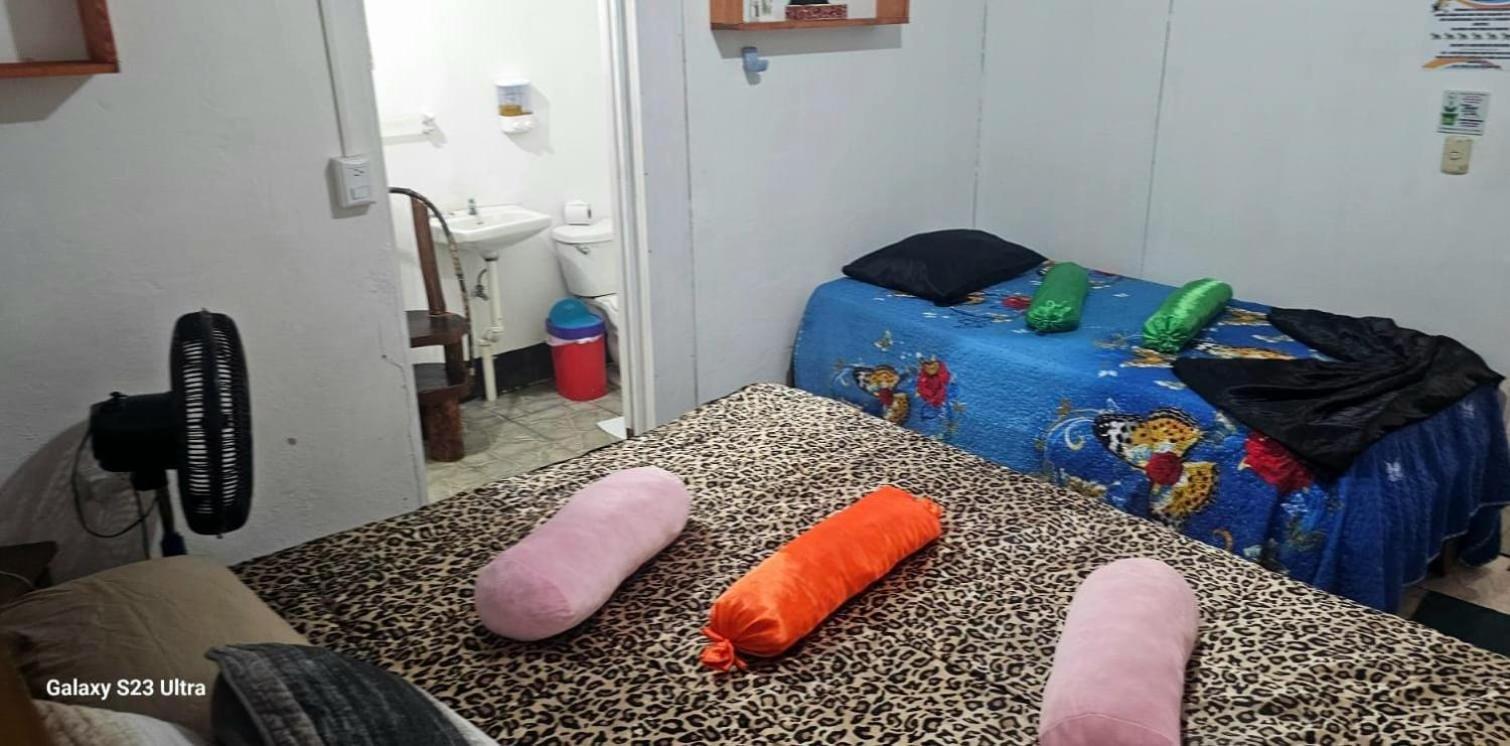 Apartament Tortuguero Casa De Playa Green House Zewnętrze zdjęcie