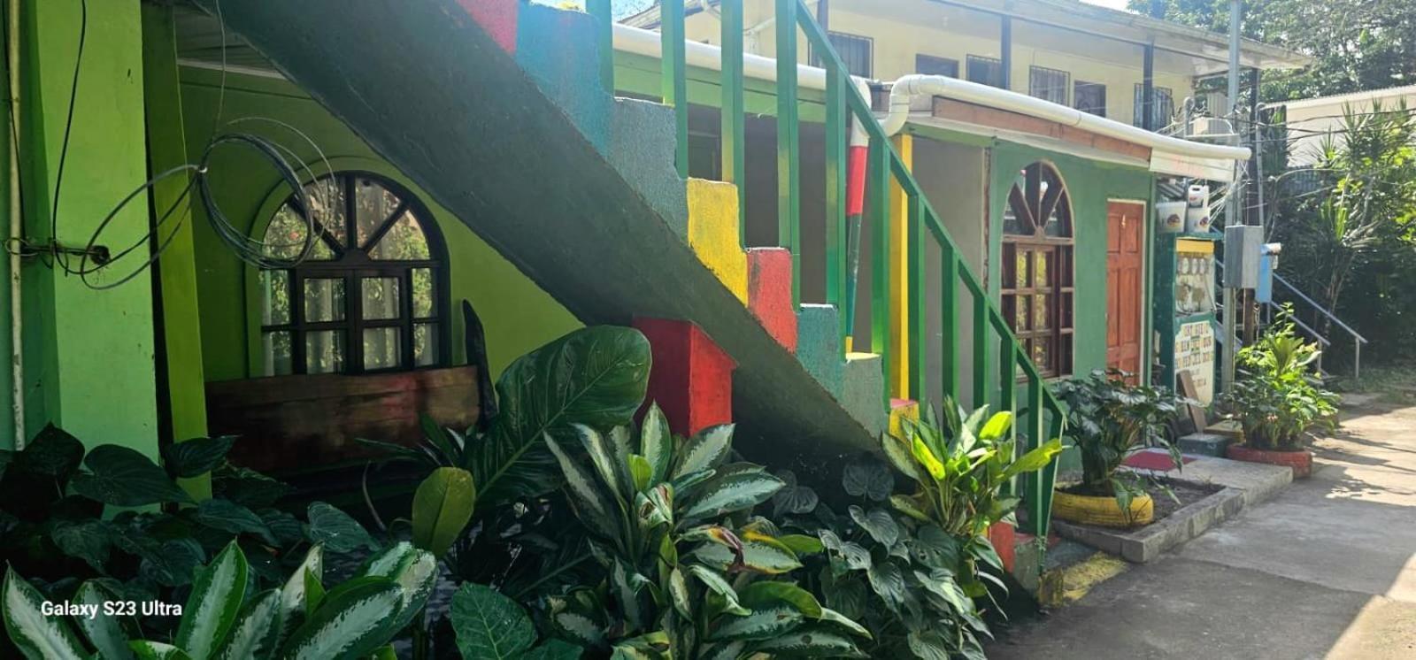 Apartament Tortuguero Casa De Playa Green House Zewnętrze zdjęcie